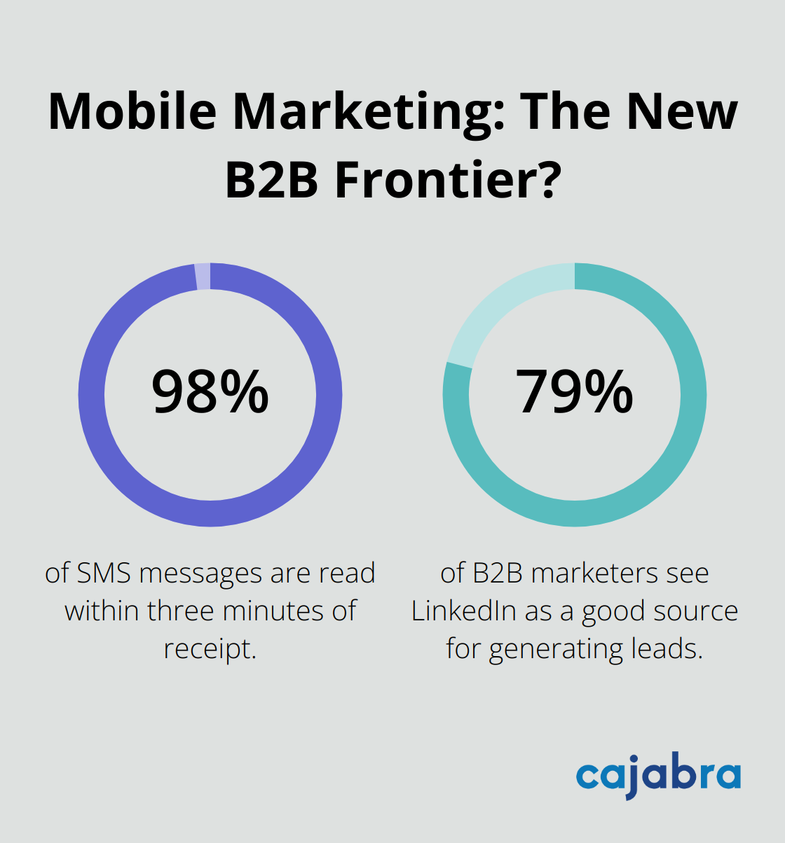 Fact - Mobile Marketing: The New B2B Frontier?