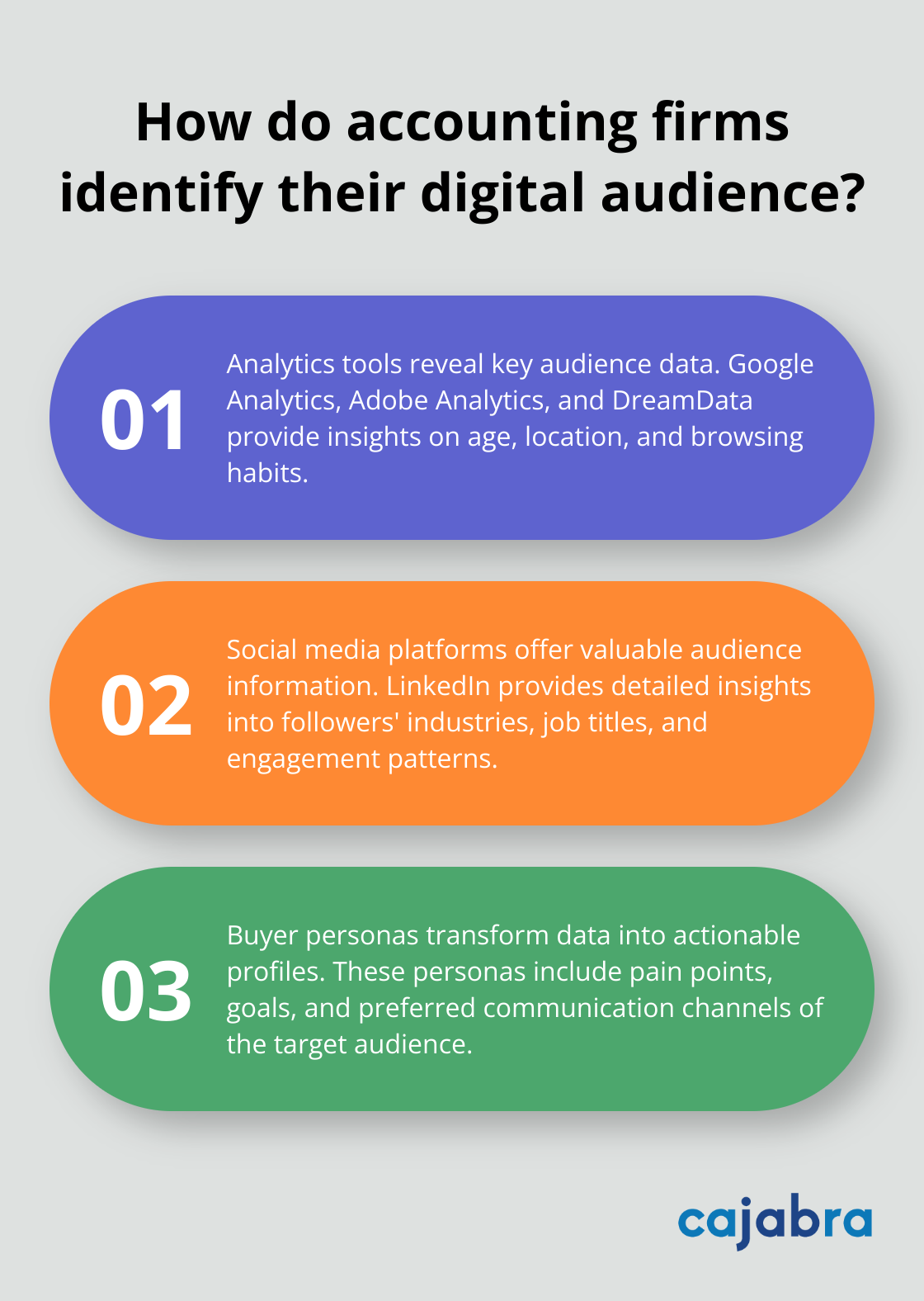 Fact - How do accounting firms identify their digital audience?
