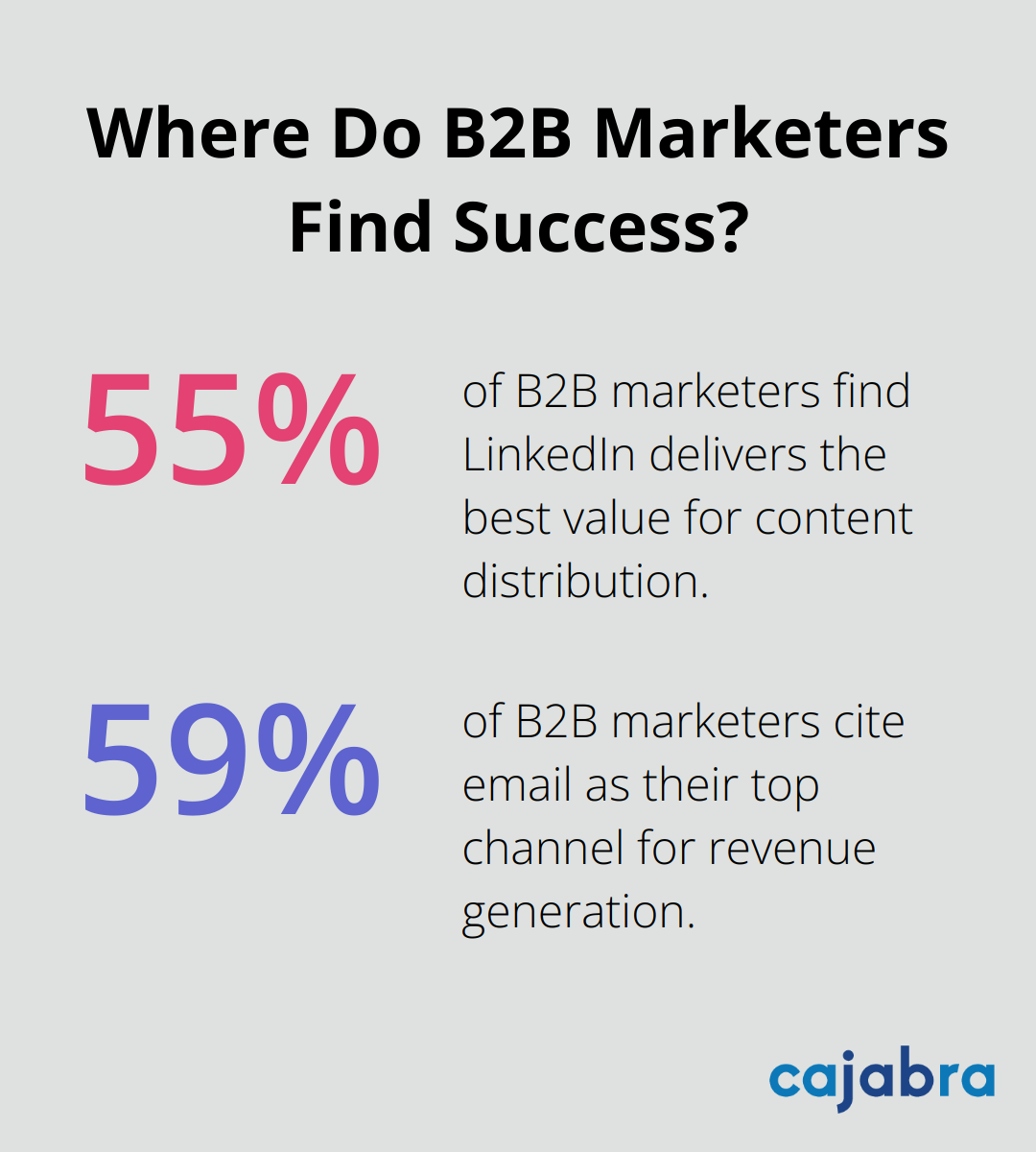 Infographic: Where Do B2B Marketers Find Success? - content marketing tips